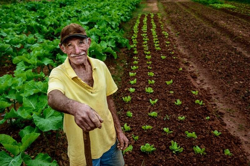 As mudanças trazidas na Reforma da Previdência para a aposentadoria rural