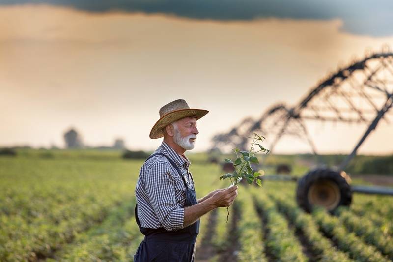 A prorrogação das dívidas de crédito rural para o agronegócio diante do Coronavírus